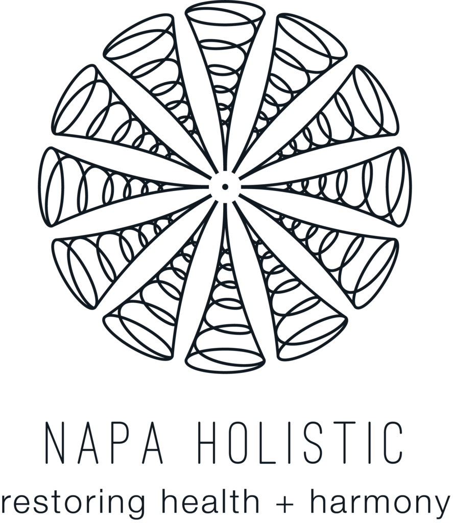 Napa Holistic Logo - black