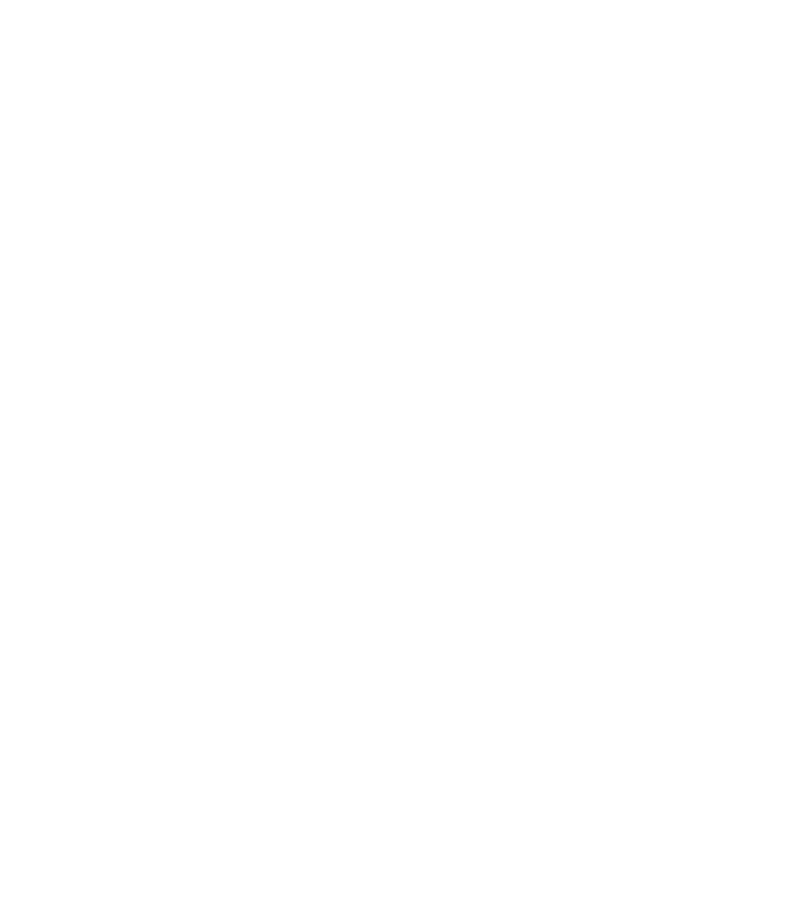 Napa Holistic Logo - white